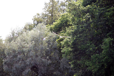 Similar image 21475009