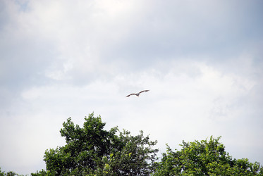 Similar image 21475012