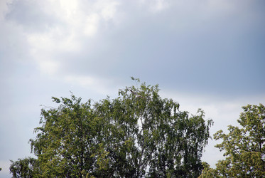 Similar image 21475014