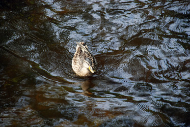 Similar image 21475015