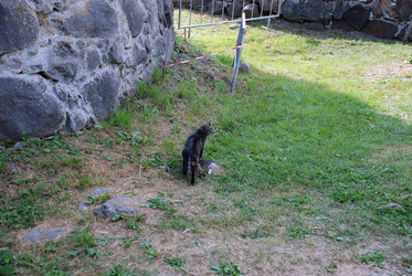 Similar image 21475019