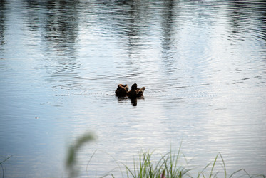 Similar image 21475024