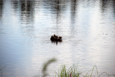 Similar image 21475025