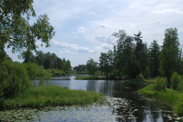 Similar image 21476810