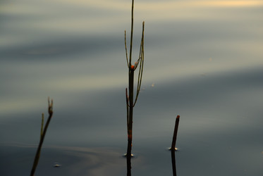 Similar image 21476813