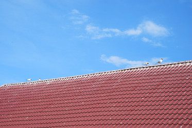 Similar image 21475030