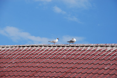 Similar image 21475031