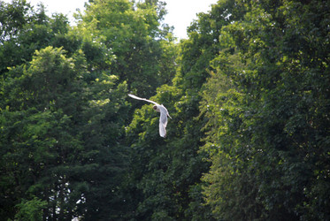 Similar image 21475037