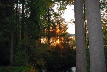 Similar image 21475050