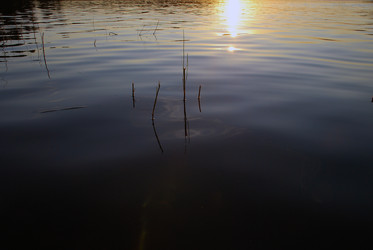 Similar image 21475056