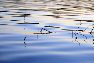 Similar image 21475057