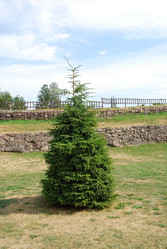 Similar image 21475060