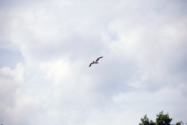 Similar image 21475066