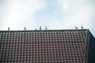 Similar image 21475072