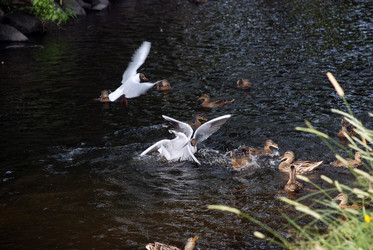 Similar image 21475075