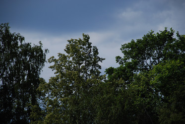 Similar image 21475076