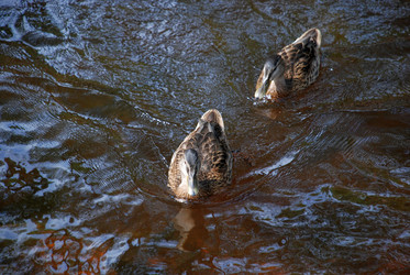 Similar image 21475079