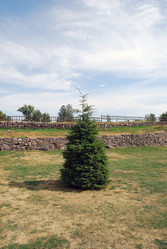 Similar image 21475082