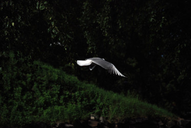 Similar image 21475085