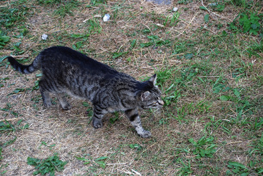 Similar image 21475088