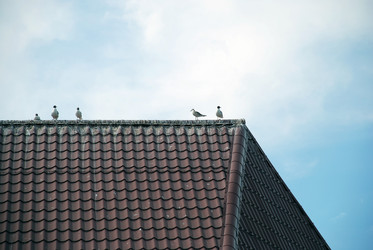 Similar image 21475090