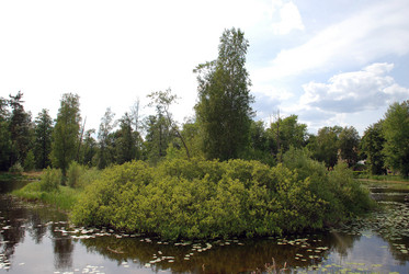 Similar image 21475091