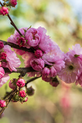 Similar image 21471554