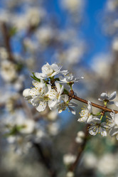 Similar image 21471555