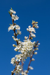 Similar image 21471556