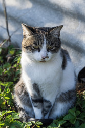 Similar image 21471557