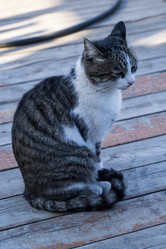 Similar image 21471558