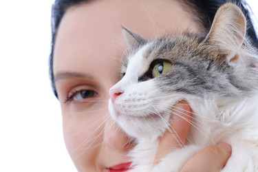 Similar image 21471935