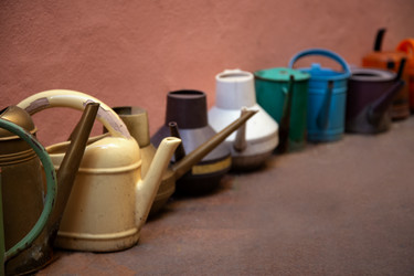 Similar image 21468661