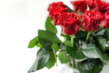 Similar image 21472636