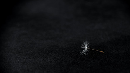 Similar image 21468665