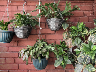 Similar image 21468666