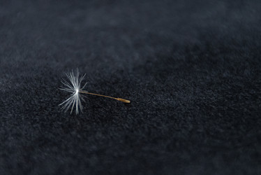 Similar image 21468686