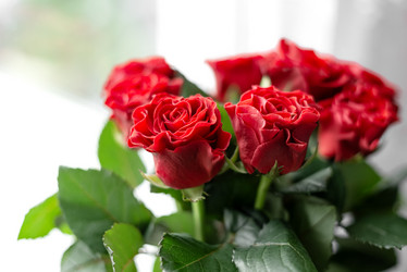 Similar image 21468687