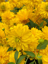 Similar image 21468689