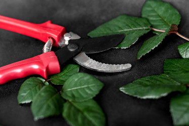 Similar image 21472641