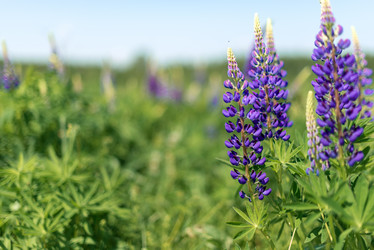 Similar image 21468691