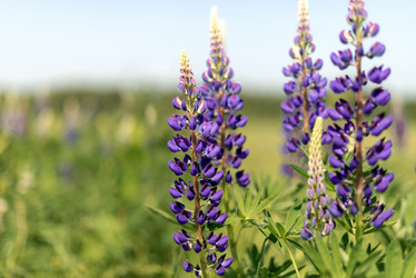 Similar image 21468692