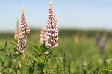 Similar image 21468693