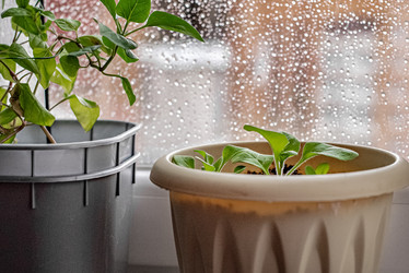 Similar image 21468695