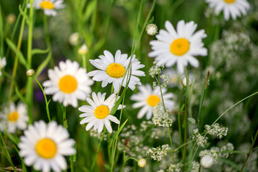 Similar image 21468697