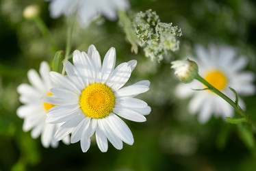 Similar image 21468699