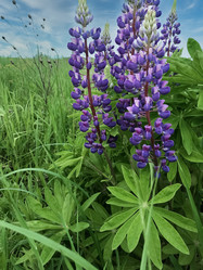 Similar image 21468702