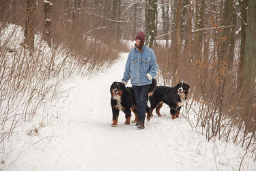 Similar image 21474066