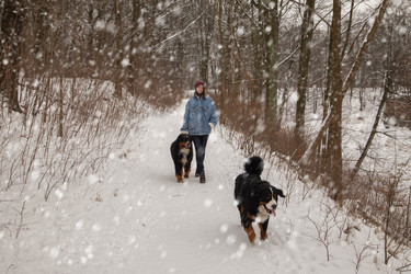 Similar image 21474321