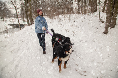 Similar image 21474324